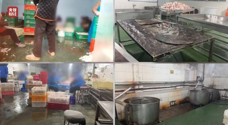 央视3·15晚会直击黑心加工。漂白鸡爪车间脏乱不堪。双氧水违规浸泡危害健康。