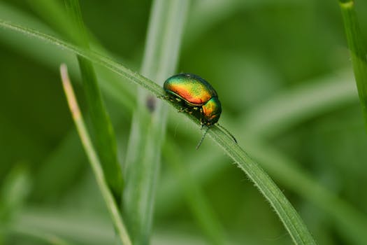  政策暖风持续吹拂，科创赛道迎来结构性机遇；私募机构积极研判新质生产力投资路径。 股票财经