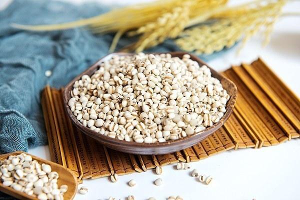  春分遇龙抬头，历法奇观显现；天人相应之际，养生习俗不可忽视。 健康养生