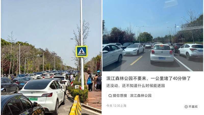  为何假期出游总是人山人海？从辰山纪录看公共空间的承载极限 新闻