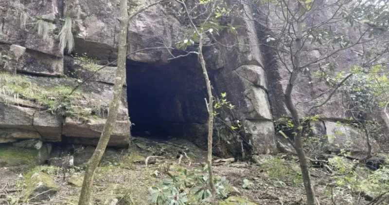  技术视角下的皖南奇迹：一名游击队长的绝境重生 新闻