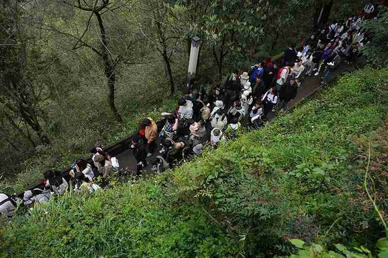  文旅深水区精准爆破：解码齐云山从6万到260万游客的指数级增长路径 文化旅游