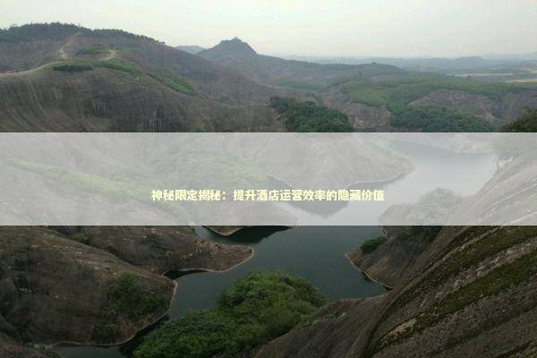 神秘限定揭秘：提升酒店运营效率的隐藏价值 新闻