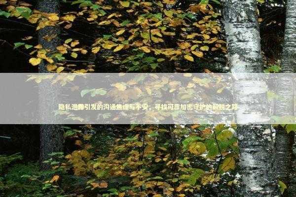 隐私泄露引发的沟通焦虑与不安，寻找可靠加密守护的解脱之路