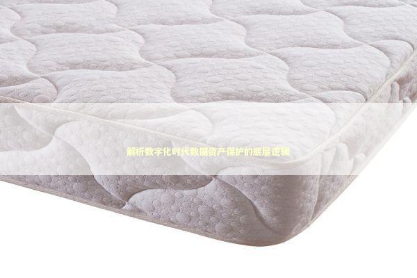 解析数字化时代数据资产保护的底层逻辑 IT技术