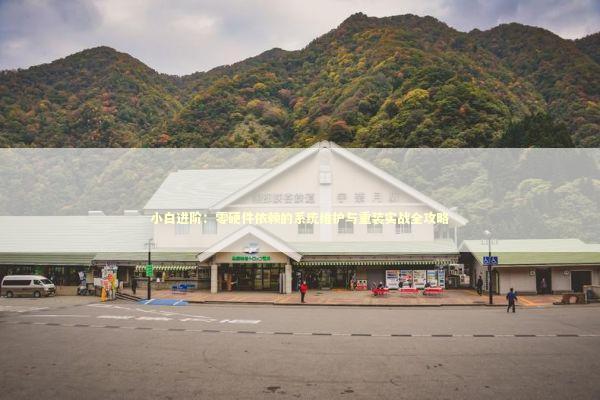 小白进阶：零硬件依赖的系统维护与重装实战全攻略 IT技术