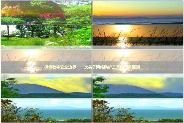 探索数字安全边界：一次关于网络防护工具的使用回溯