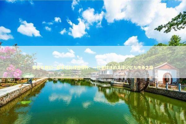 那些年我们一起追过的绿茵情怀：一位老球迷的足球记忆与传承之路