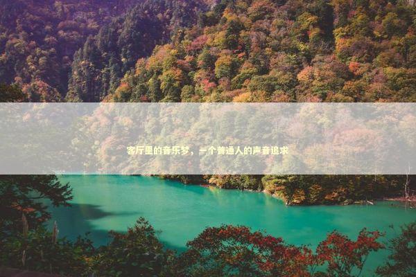 客厅里的音乐梦，一个普通人的声音追求 家电市场